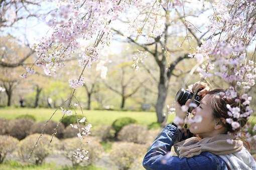 隐忍：婚姻危机中农村青年留守女性的生活境遇